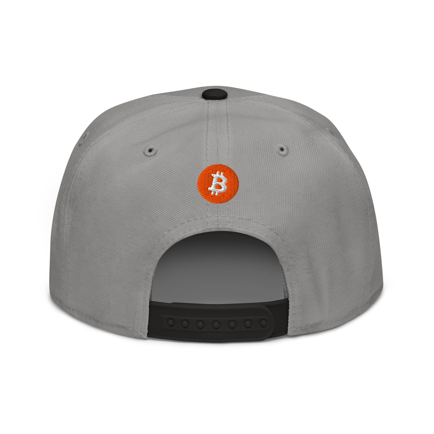 Einundzwanzig bitcoin snapback hat in Black / Gray / Gray, back view.