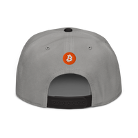 Einundzwanzig bitcoin snapback hat in Black / Gray / Gray, back view.