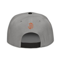 Circuit Board bitcoin snapback hat in Black / Gray / Gray, back view.