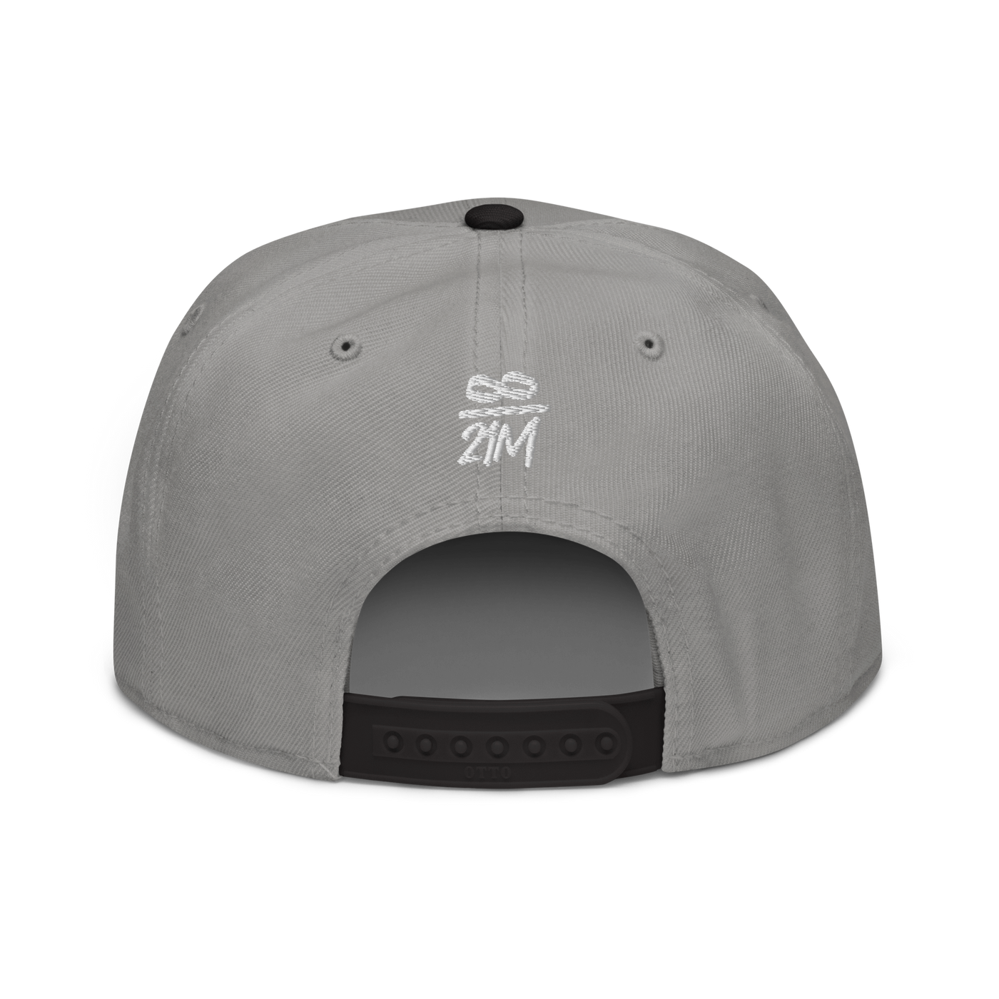 Infinity / 21M bitcoin snapback hat in Black / Gray / Gray, back view.