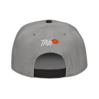 TINA bitcoin snapback hat in Black / Gray / Gray, back view.
