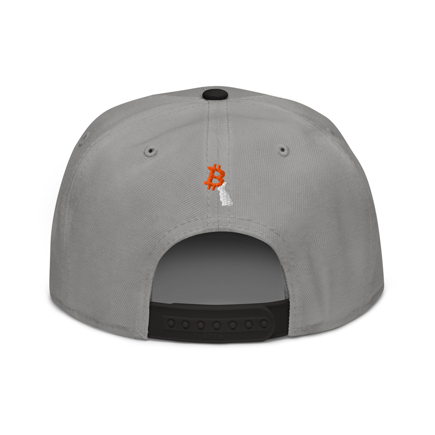 White Rabbit bitcoin snapback hat in Black / Gray / Gray, back view.