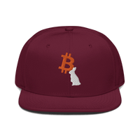 Front view of a burgundy maroon bitcoin snapback hat.