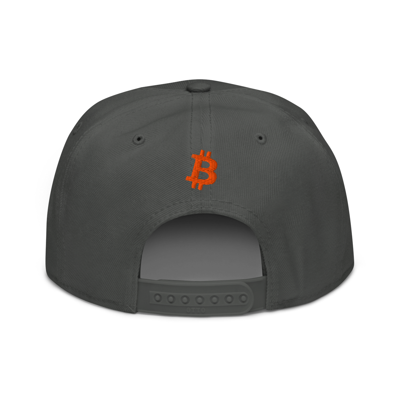 Emergency Exit bitcoin snapback hat in Charcoal gray, back view.