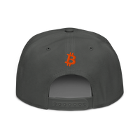 Emergency Exit bitcoin snapback hat in Charcoal gray, back view.