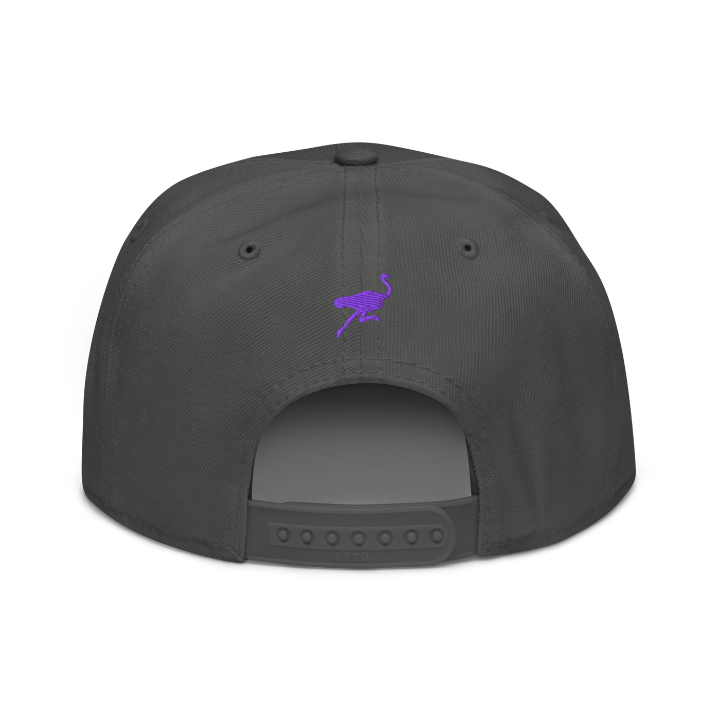 Nostrich nostr snapback hat in Charcoal gray, back view.