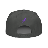 Nostrich nostr snapback hat in Charcoal gray, back view.