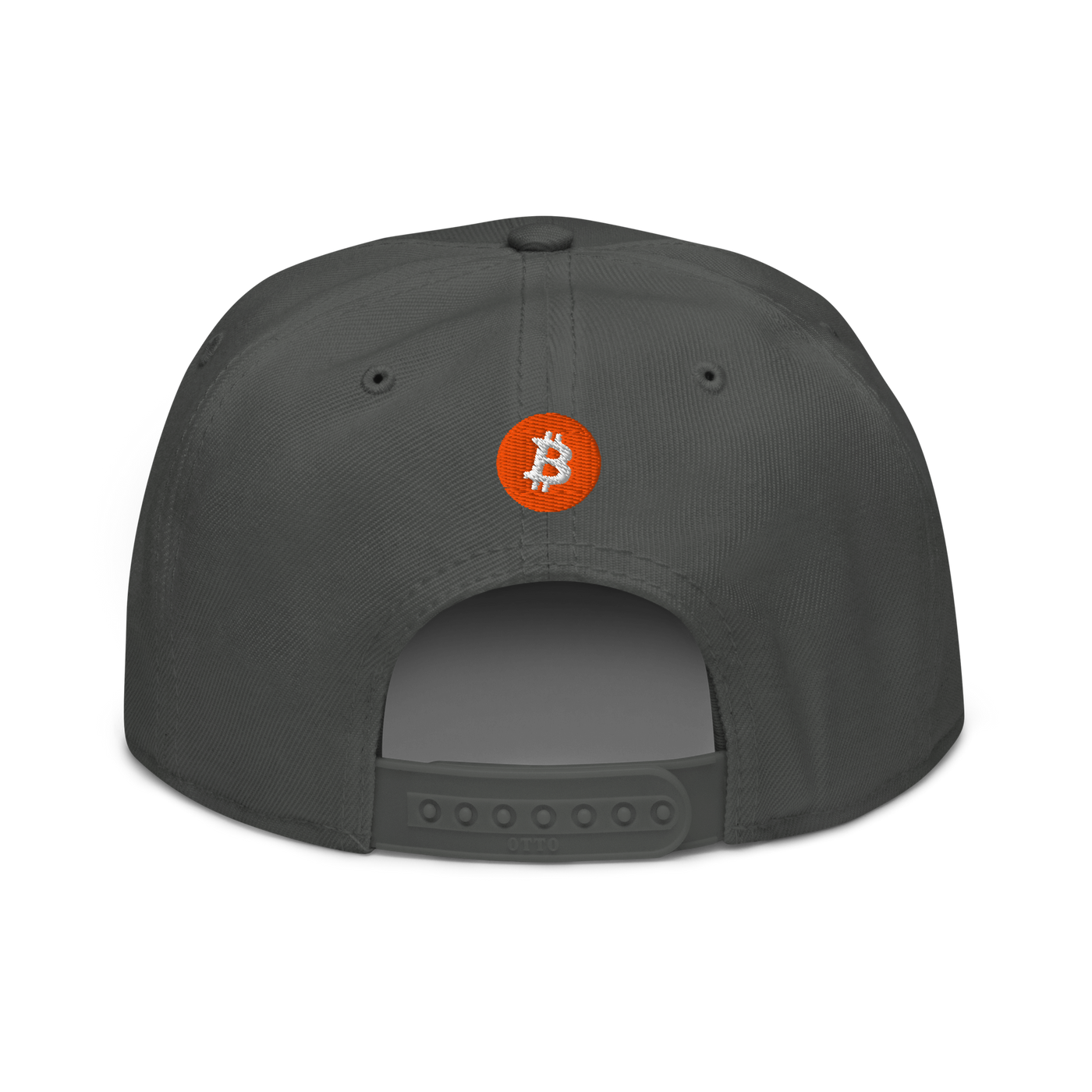 Einundzwanzig bitcoin snapback hat in Charcoal gray, back view.
