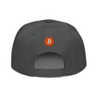 Einundzwanzig bitcoin snapback hat in Charcoal gray, back view.