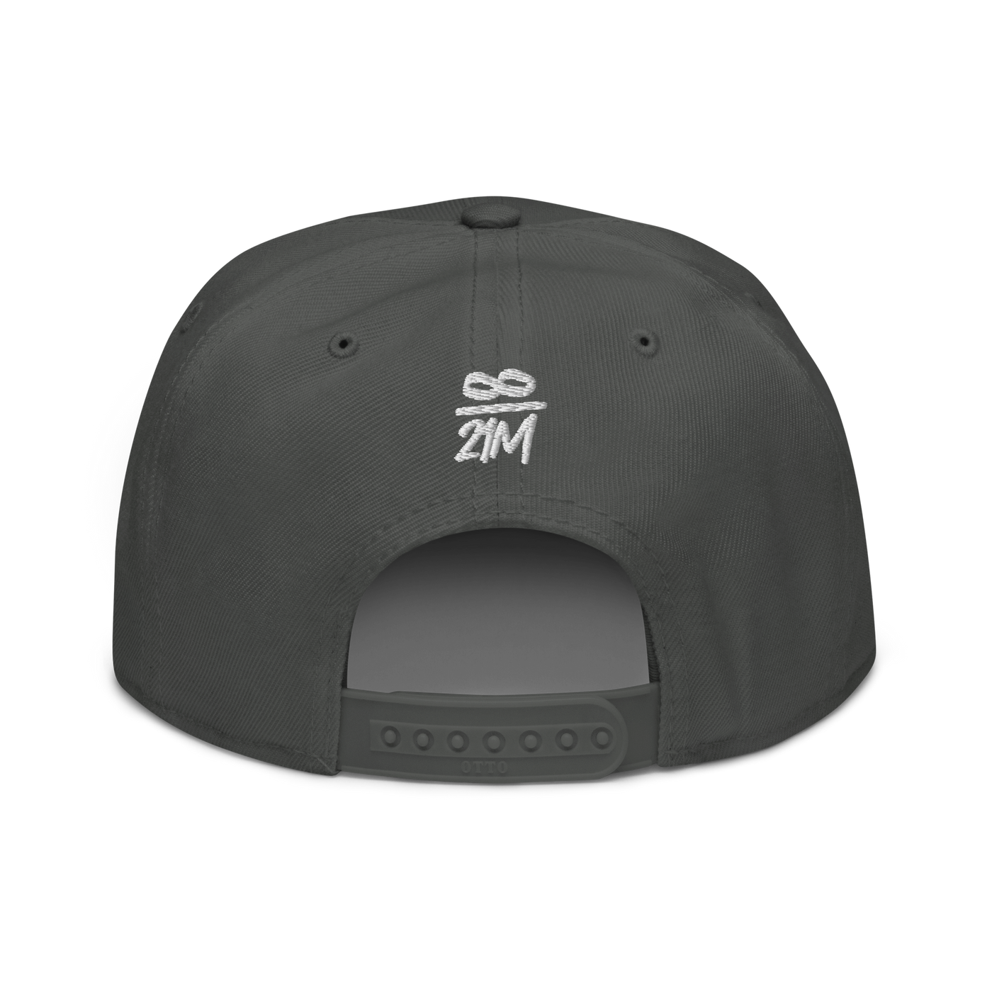 Infinity / 21M bitcoin snapback hat in Charcoal gray, back view.