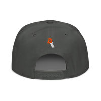 White Rabbit bitcoin snapback hat in Charcoal gray, back view.