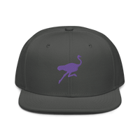 Front view of a charcoal grey nostr snapback hat.