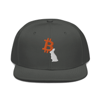 Front view of a charcoal grey bitcoin snapback hat.