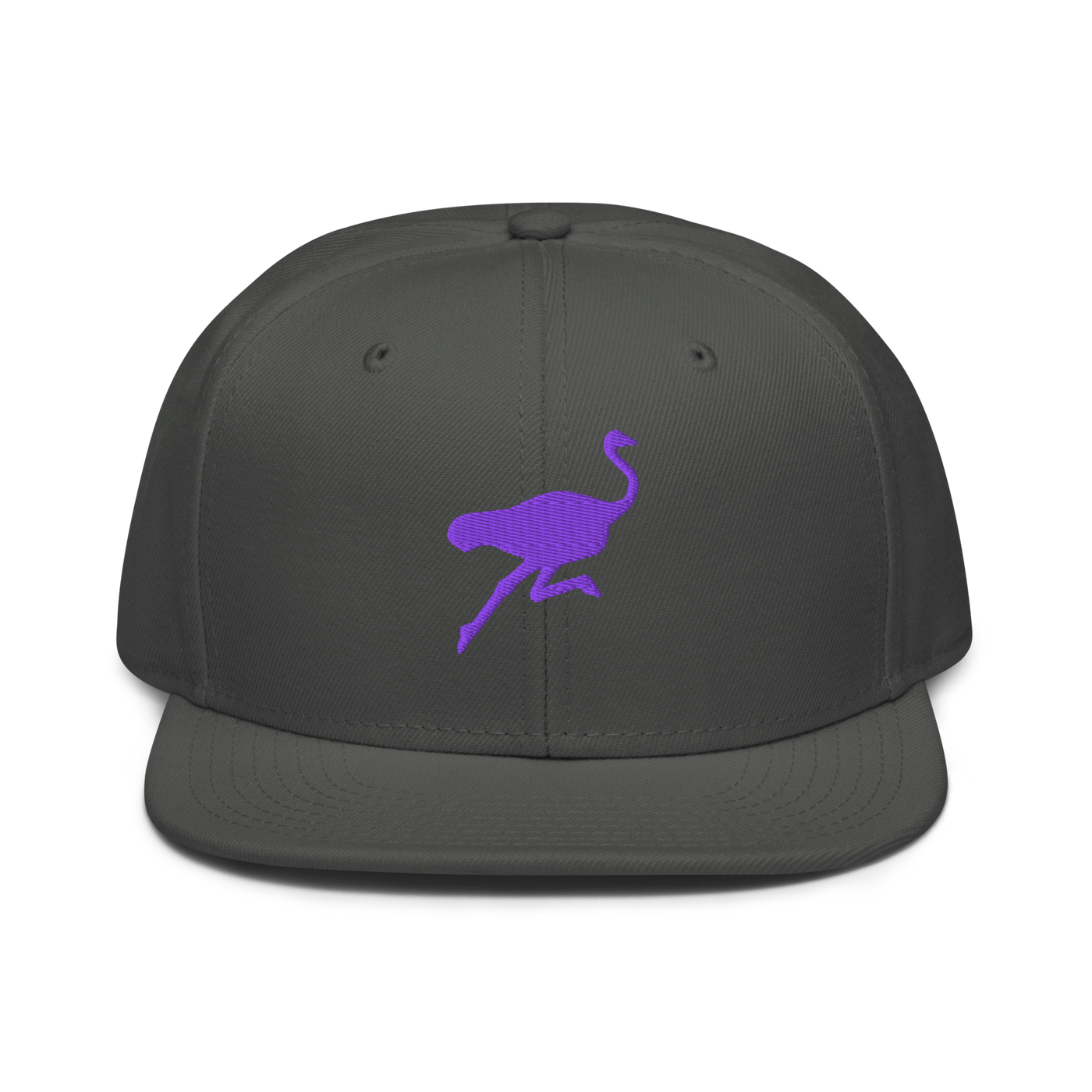 Nostrich nostr snapback hat in Charcoal gray, front view.