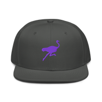 Nostrich nostr snapback hat in Charcoal gray, front view.