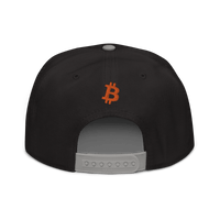 Back view of a black and grey bitcoin snapback hat.