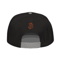 Back view of a black and grey bitcoin snapback hat.