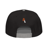 Back view of a black and grey bitcoin snapback hat.