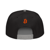Emergency Exit bitcoin snapback hat in Gray / Black / Black, back view.