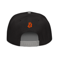 Bitcoin B bitcoin snapback hat in Gray / Black / Black, back view.