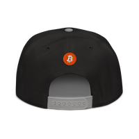 Einundzwanzig bitcoin snapback hat in Gray / Black / Black, back view.