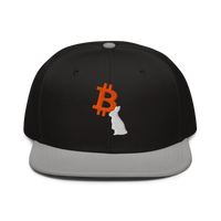 White Rabbit bitcoin snapback hat in Gray / Black / Black, front view.
