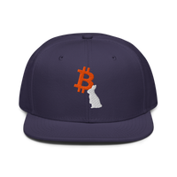 White Rabbit bitcoin snapback hat in Navy, front view.