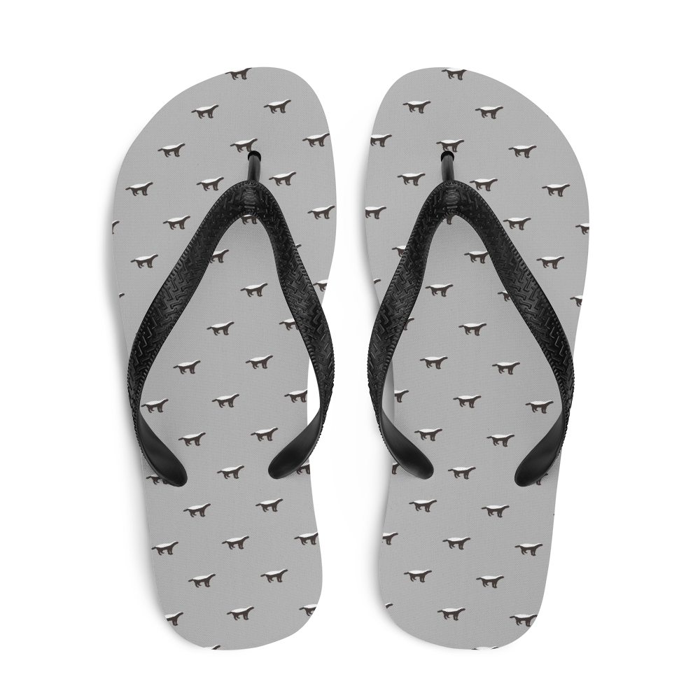 Top view of a pair of silver and black bitcoin flip flops.