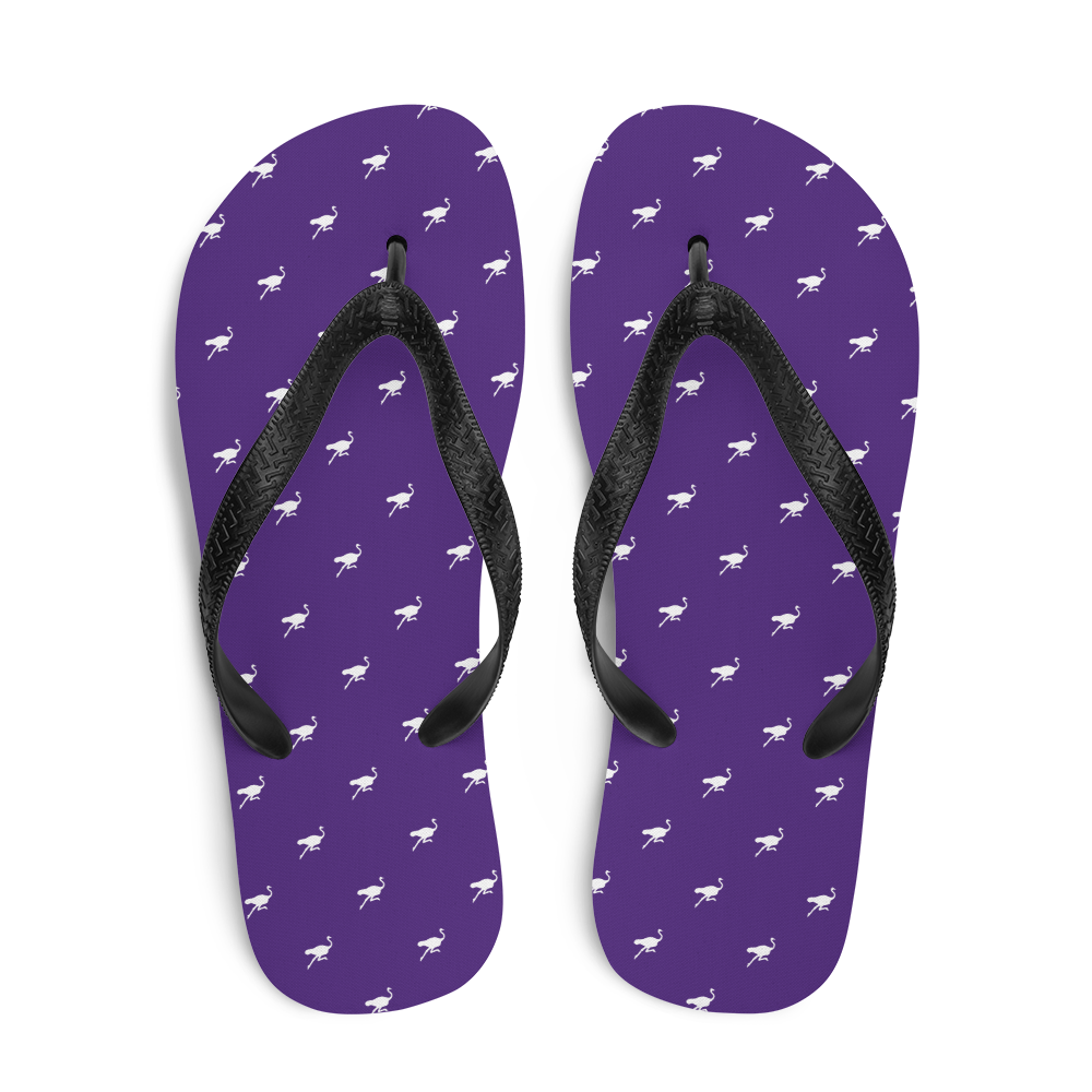 Top view of a pair of purple and black nostr flip flops.