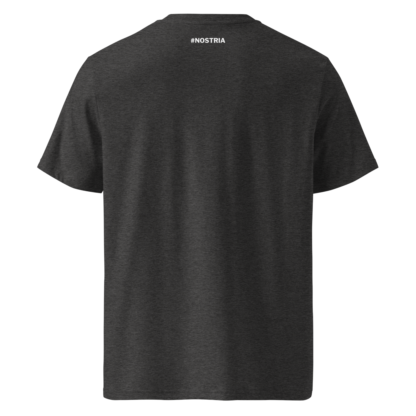 RUN DVM organic cotton nostr t-shirt in Dark Heather Grey, back view: a small hashtag NOSTRIA print below the neckline.